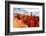 Thor's Hammer, Bryce Canyon, Utah-Geraint Tellem-Framed Photographic Print