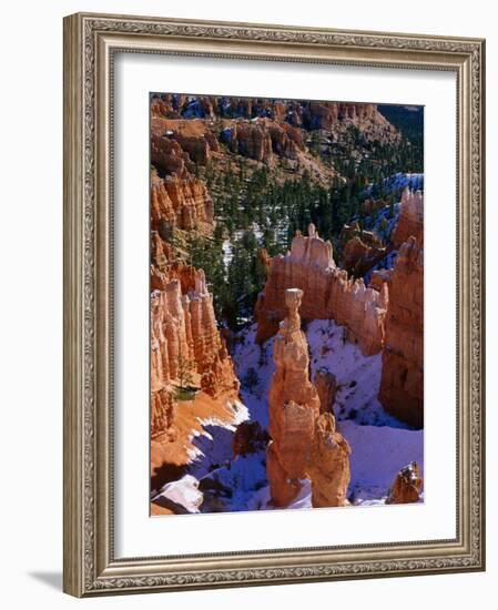 Thor's Hammer During Winter, Yellowstone National Park, USA-Carol Polich-Framed Photographic Print