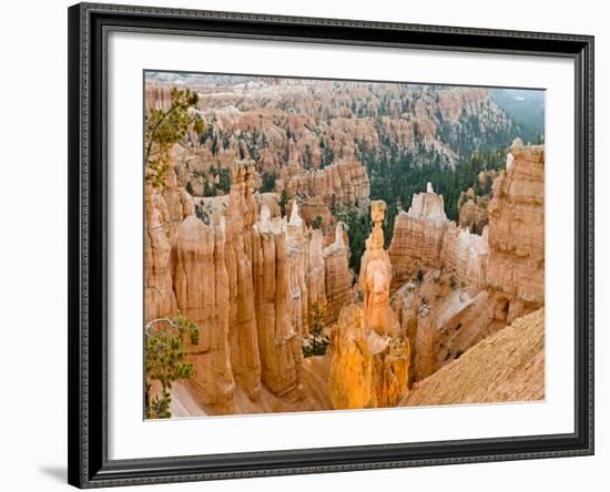 Thor's Hammer, Hoodoo, Bryce Canyon National Park, Utah, USA-Tom Norring-Framed Photographic Print