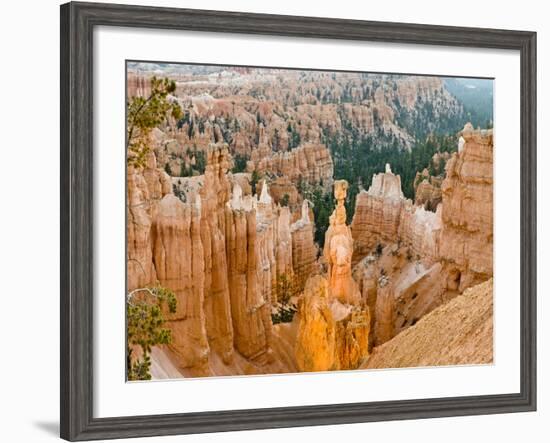 Thor's Hammer, Hoodoo, Bryce Canyon National Park, Utah, USA-Tom Norring-Framed Photographic Print