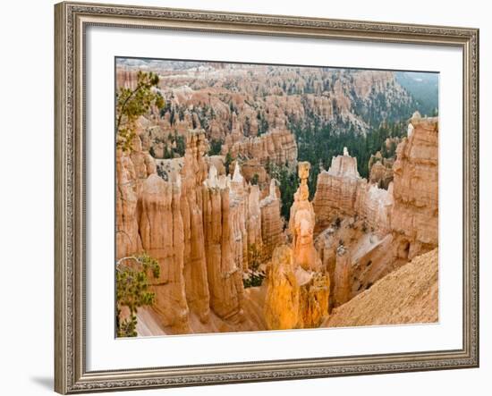 Thor's Hammer, Hoodoo, Bryce Canyon National Park, Utah, USA-Tom Norring-Framed Photographic Print