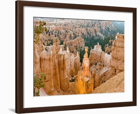 Thor's Hammer, Hoodoo, Bryce Canyon National Park, Utah, USA-Tom Norring-Framed Photographic Print