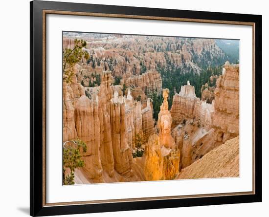 Thor's Hammer, Hoodoo, Bryce Canyon National Park, Utah, USA-Tom Norring-Framed Photographic Print