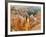 Thor's Hammer, Hoodoo, Bryce Canyon National Park, Utah, USA-Tom Norring-Framed Photographic Print