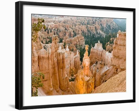 Thor's Hammer, Hoodoo, Bryce Canyon National Park, Utah, USA-Tom Norring-Framed Photographic Print