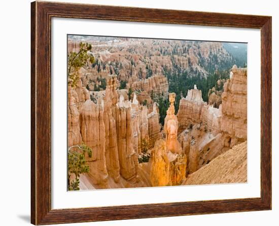 Thor's Hammer, Hoodoo, Bryce Canyon National Park, Utah, USA-Tom Norring-Framed Photographic Print