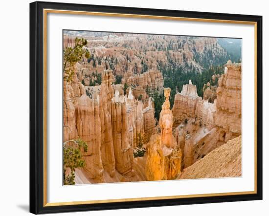 Thor's Hammer, Hoodoo, Bryce Canyon National Park, Utah, USA-Tom Norring-Framed Photographic Print