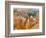 Thor's Hammer, Hoodoo, Bryce Canyon National Park, Utah, USA-Tom Norring-Framed Photographic Print