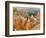 Thor's Hammer, Hoodoo, Bryce Canyon National Park, Utah, USA-Tom Norring-Framed Photographic Print