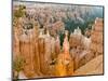 Thor's Hammer, Hoodoo, Bryce Canyon National Park, Utah, USA-Tom Norring-Mounted Photographic Print