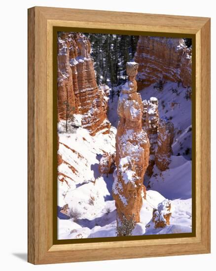 Thor's Hammer Hoodoo in Bryce Canyon National Park-James Randklev-Framed Premier Image Canvas