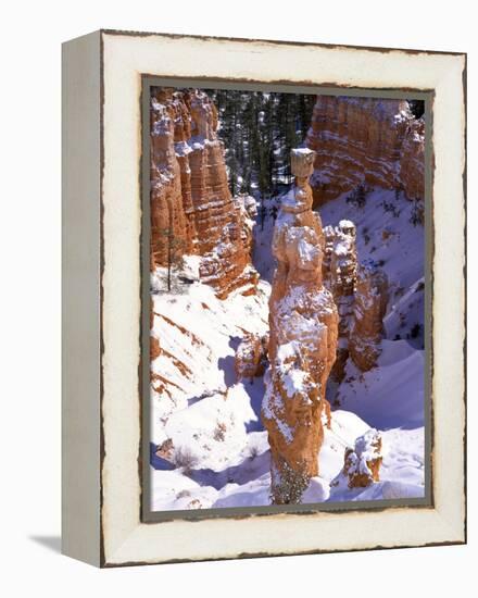 Thor's Hammer Hoodoo in Bryce Canyon National Park-James Randklev-Framed Premier Image Canvas