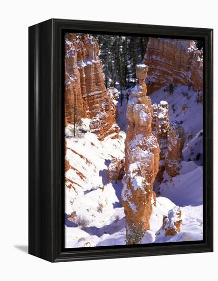 Thor's Hammer Hoodoo in Bryce Canyon National Park-James Randklev-Framed Premier Image Canvas