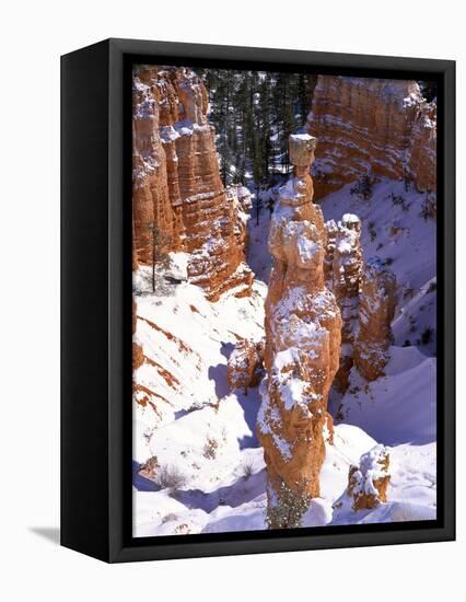 Thor's Hammer Hoodoo in Bryce Canyon National Park-James Randklev-Framed Premier Image Canvas