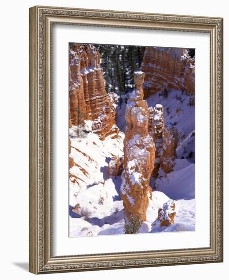 Thor's Hammer Hoodoo in Bryce Canyon National Park-James Randklev-Framed Photographic Print