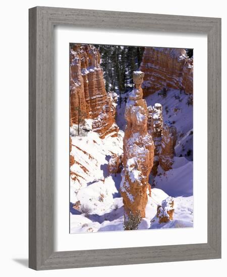 Thor's Hammer Hoodoo in Bryce Canyon National Park-James Randklev-Framed Photographic Print