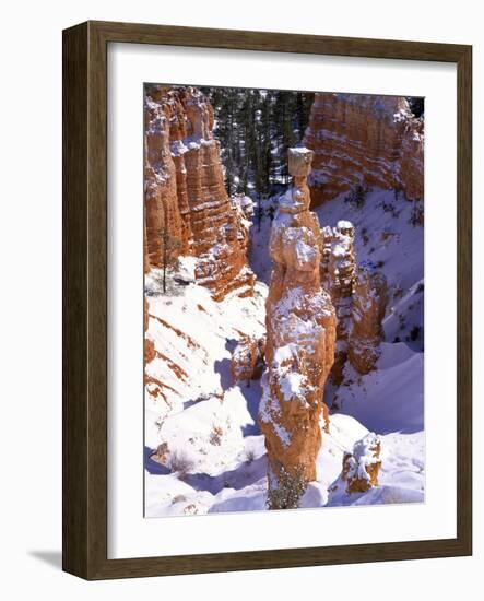 Thor's Hammer Hoodoo in Bryce Canyon National Park-James Randklev-Framed Photographic Print