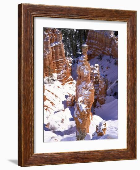 Thor's Hammer Hoodoo in Bryce Canyon National Park-James Randklev-Framed Photographic Print