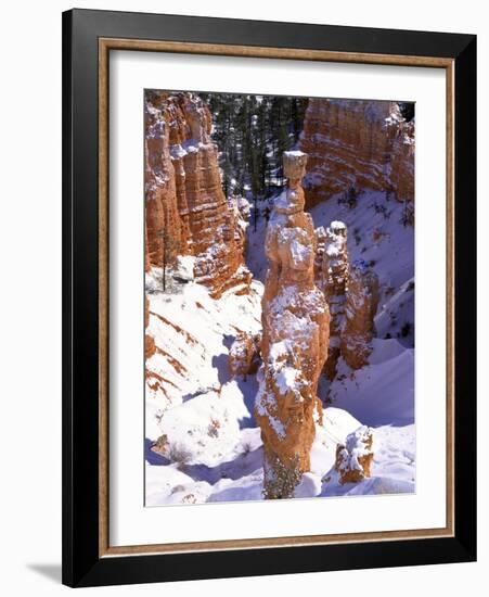 Thor's Hammer Hoodoo in Bryce Canyon National Park-James Randklev-Framed Photographic Print