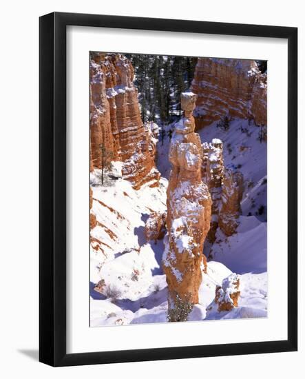 Thor's Hammer Hoodoo in Bryce Canyon National Park-James Randklev-Framed Photographic Print