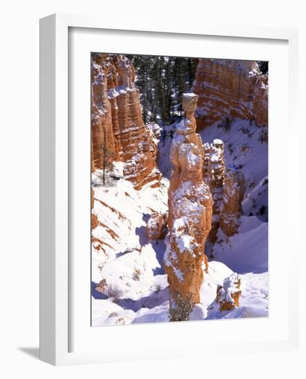 Thor's Hammer Hoodoo in Bryce Canyon National Park-James Randklev-Framed Photographic Print