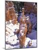 Thor's Hammer Hoodoo in Bryce Canyon National Park-James Randklev-Mounted Photographic Print