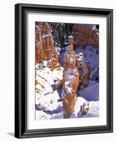 Thor's Hammer Hoodoo in Bryce Canyon National Park-James Randklev-Framed Photographic Print