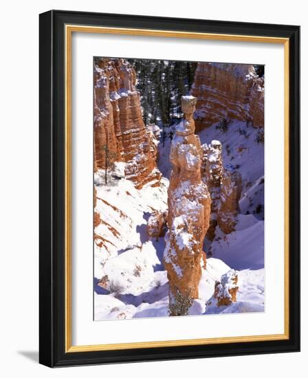 Thor's Hammer Hoodoo in Bryce Canyon National Park-James Randklev-Framed Photographic Print