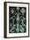 Thoracostraca, Crustaceans,-Ernst Haeckel-Framed Art Print