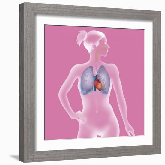 Thorax, Anatomy-Caroline Arquevaux-Framed Giclee Print