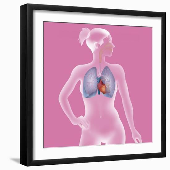 Thorax, Anatomy-Caroline Arquevaux-Framed Giclee Print