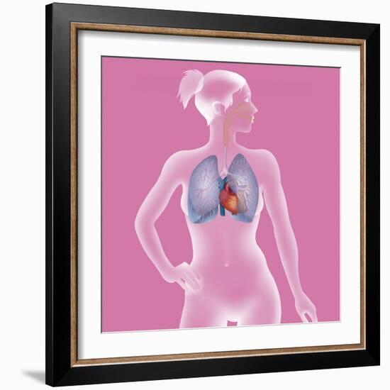 Thorax, Anatomy-Caroline Arquevaux-Framed Giclee Print