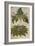 Thornapple; Datura Stramonium and Mandrake; Mandragora Autumnalis. from 'Camerarius Florilegium'-Joachim Camerarius-Framed Giclee Print