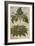 Thornapple; Datura Stramonium and Mandrake; Mandragora Autumnalis. from 'Camerarius Florilegium'-Joachim Camerarius-Framed Giclee Print