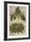 Thornapple; Datura Stramonium and Mandrake; Mandragora Autumnalis. from 'Camerarius Florilegium'-Joachim Camerarius-Framed Giclee Print