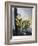 Thornton: Aloe-Caldwall-Framed Giclee Print