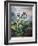 Thornton: Auriculas-Richard Earlom-Framed Giclee Print