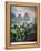 Thornton: Auriculas-Richard Earlom-Framed Premier Image Canvas