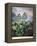 Thornton: Auriculas-Richard Earlom-Framed Premier Image Canvas