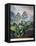 Thornton: Auriculas-Richard Earlom-Framed Premier Image Canvas