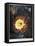 Thornton: Cereus-Robert Dunkarton-Framed Premier Image Canvas