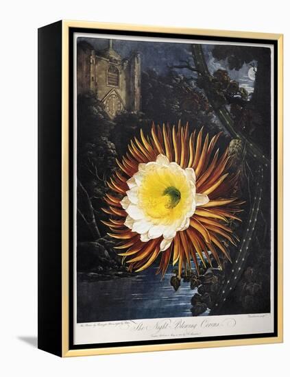 Thornton: Cereus-Robert Dunkarton-Framed Premier Image Canvas