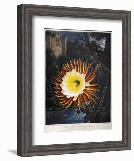 Thornton: Cereus-Robert Dunkarton-Framed Giclee Print