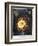 Thornton: Cereus-Robert Dunkarton-Framed Giclee Print