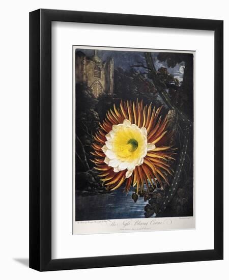 Thornton: Cereus-Robert Dunkarton-Framed Giclee Print