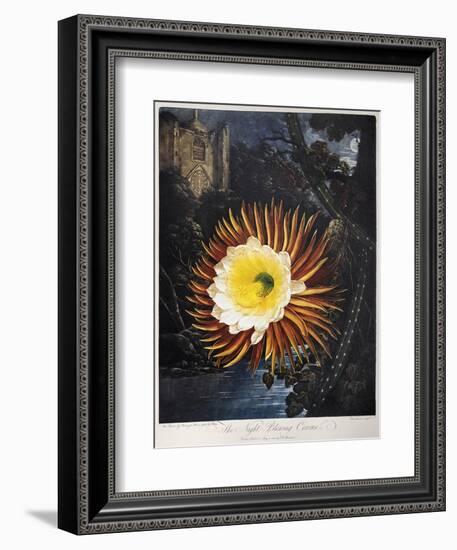 Thornton: Cereus-Robert Dunkarton-Framed Giclee Print