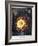 Thornton: Cereus-Robert Dunkarton-Framed Giclee Print