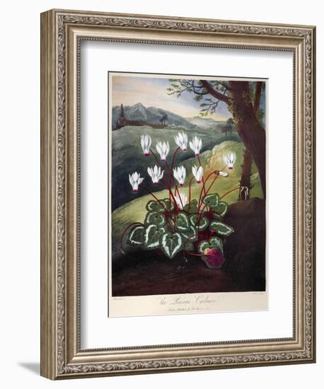 Thornton: Cyclamen-William Elmes-Framed Premium Giclee Print