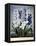 Thornton: Hyacinths-Warner-Framed Premier Image Canvas