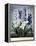 Thornton: Hyacinths-Warner-Framed Premier Image Canvas